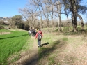 0_4925165_151864.jpg