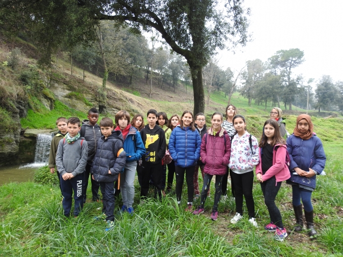  - Caixes-niu i menjadores
